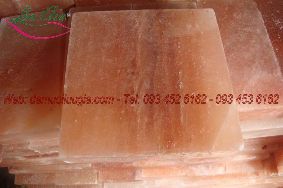  Đá Muối Xây Dựng 20*20*5 cm