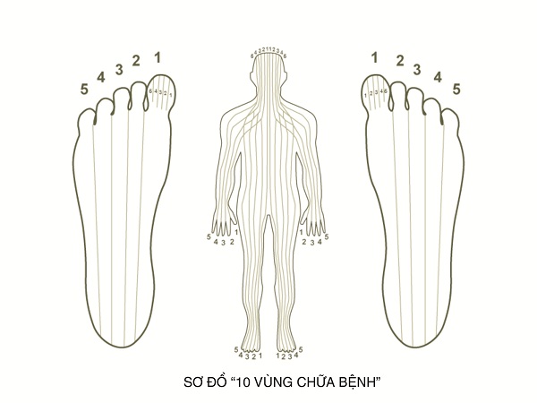 xoa-bop-bam-huyet-vung-chan-nhung-su-ky-dieu-khong-ngo